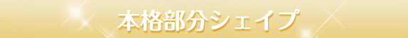 本格部分シェイプ